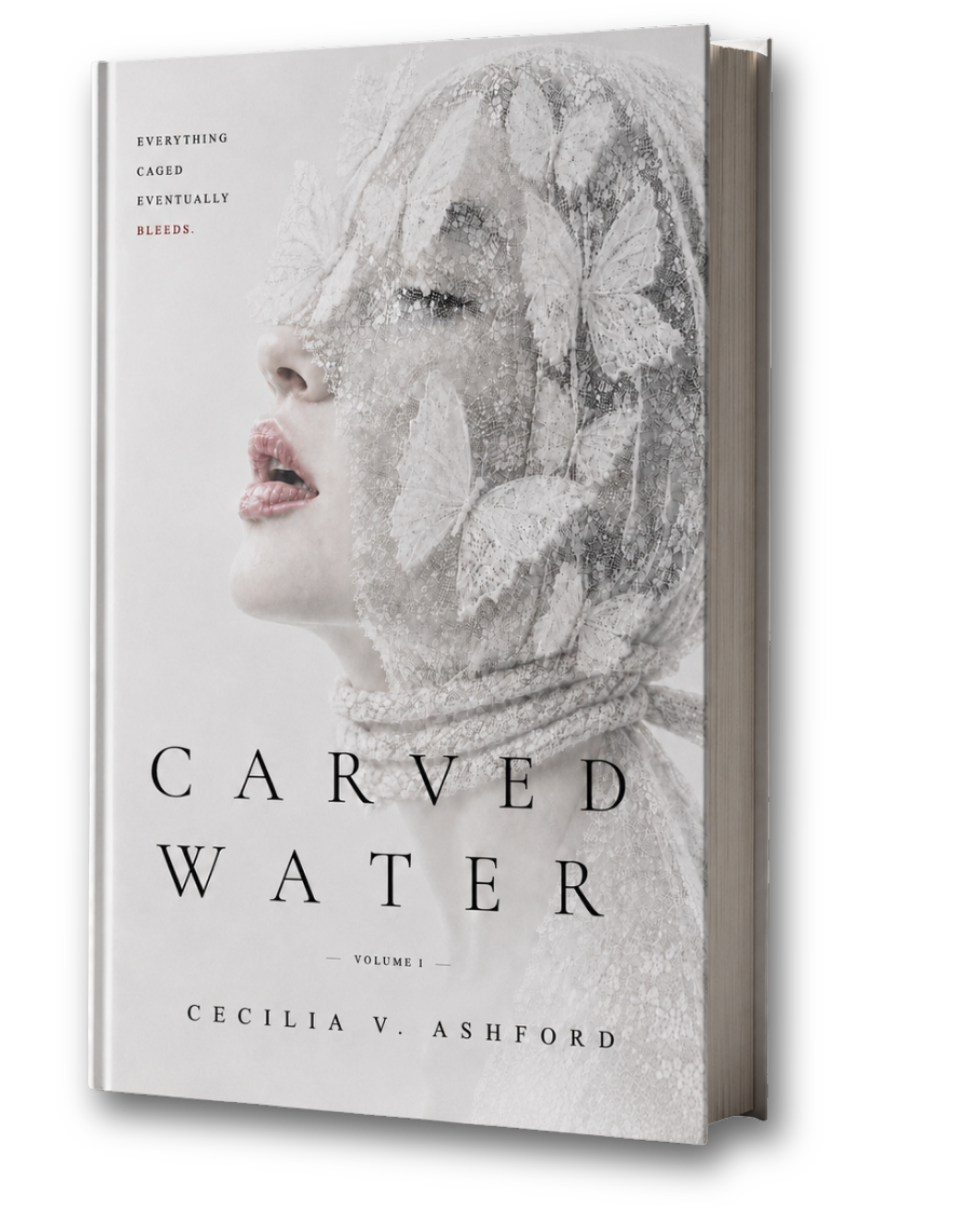 Carved Water book mockup